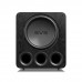 SVS: PB-5000